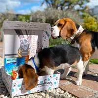 New Dog Gift Box