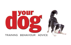Your Dog Logo