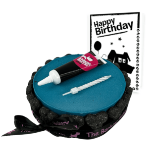 Dog Birthday Cake, Icing Pen & Card - Blue