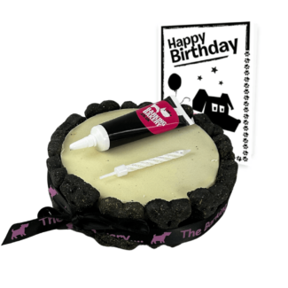 Dog Birthday Cake, Icing Pen & Card - White