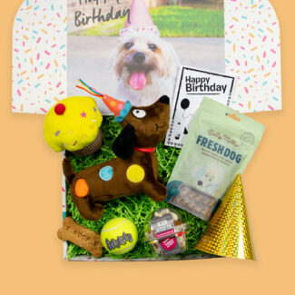 Luxury Dog Birthday Box