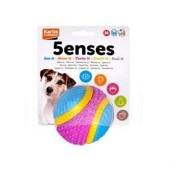 5 Senses Dog Ball - Large