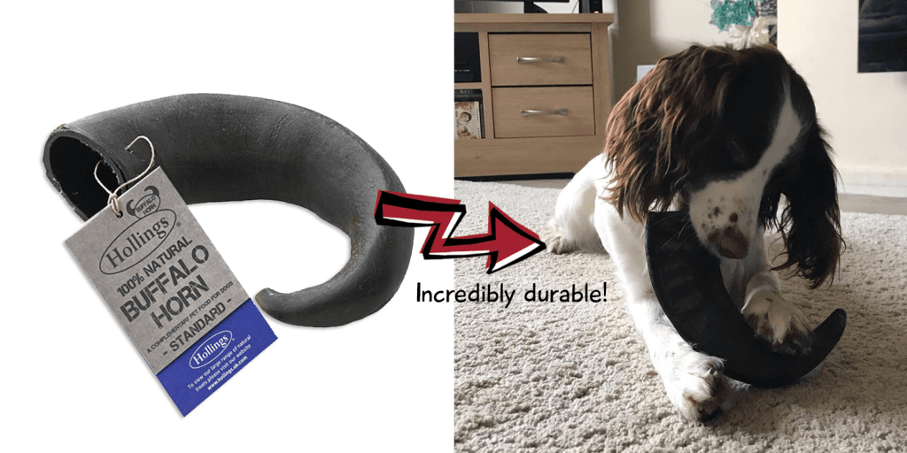 The best dog gifts for 2019 - holdings buffalo horn