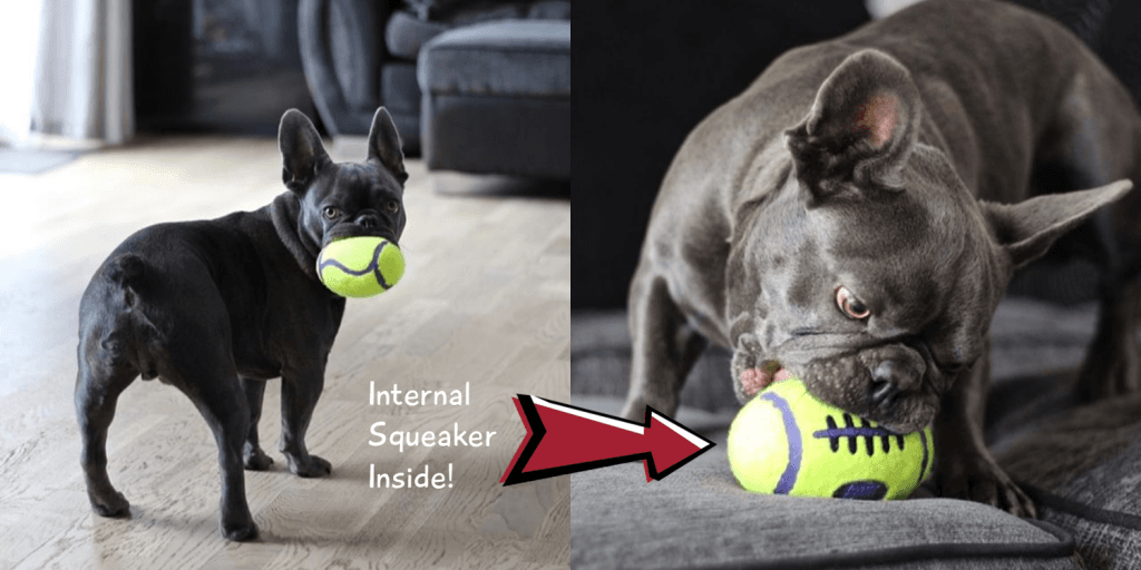 The best dog gifts for 2019 - kong airdog squeaker