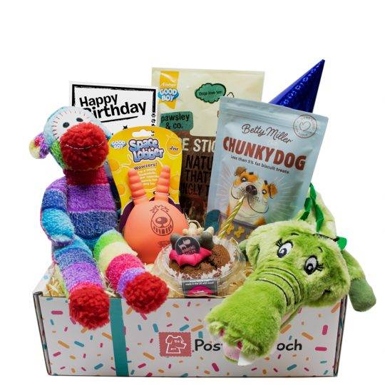 Dog Birthday box soft toy