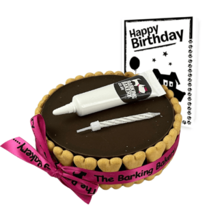 Dog Birthday Cake, Icing Pen & Card - Carob