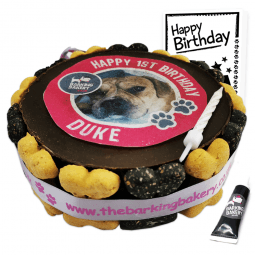 picture dog birthday cake