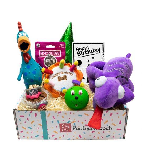 Dog Toy Birthday Box