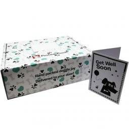 Get well soon present for dogs