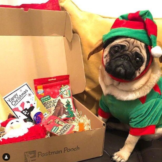 Dog Christmas Subscription