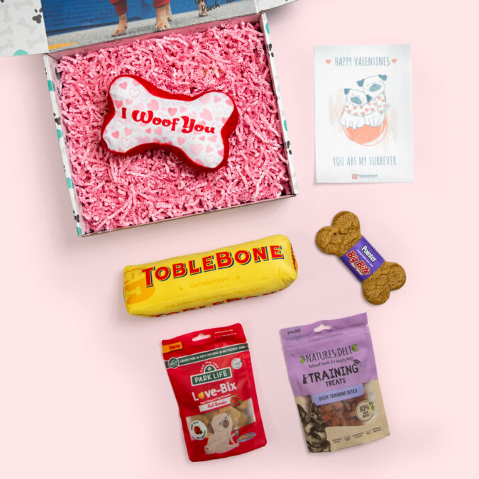 Dog Valentines box