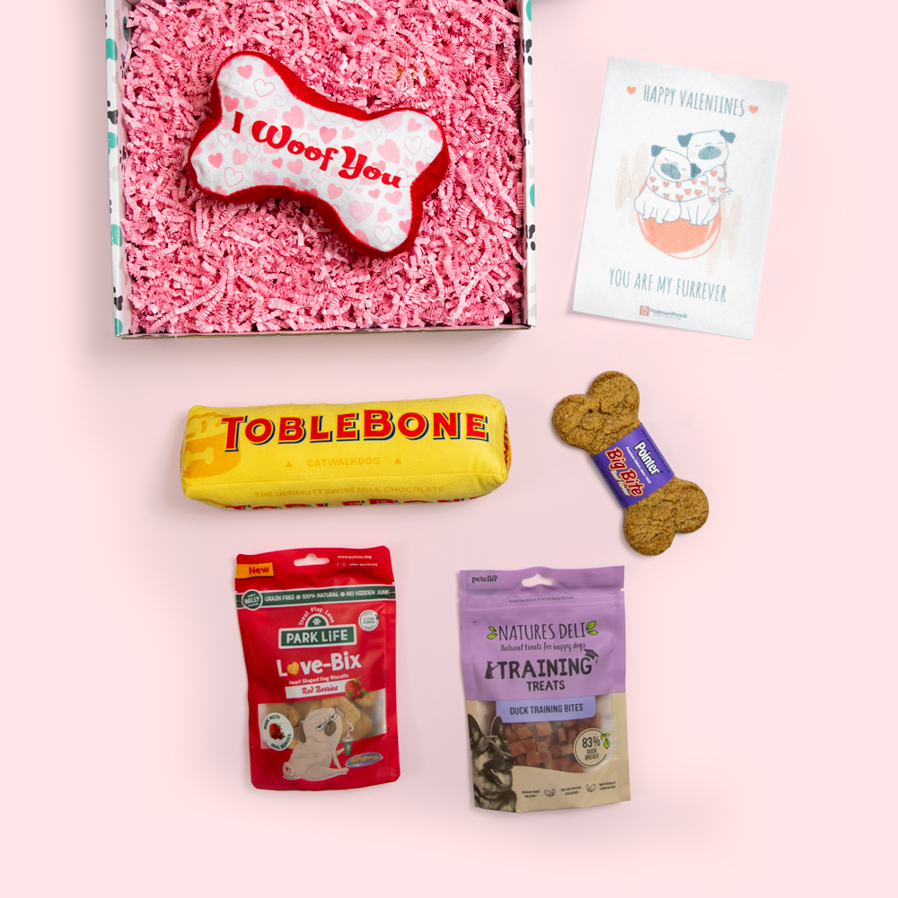 Valentines box for dogs