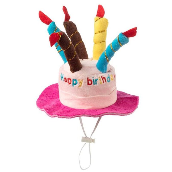 Dog Birthday Hat Pink