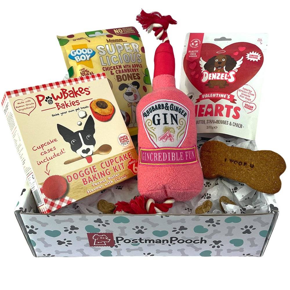 Dog Valentines Box