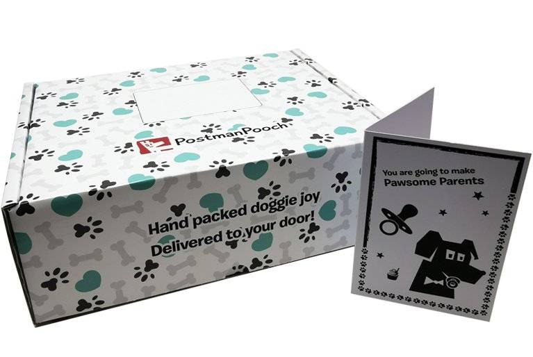 New Dog Gift Box