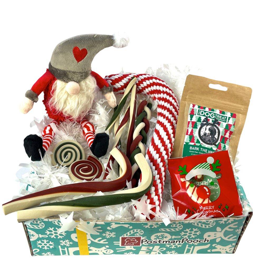 A Christmas box containing various dog toys and treats.