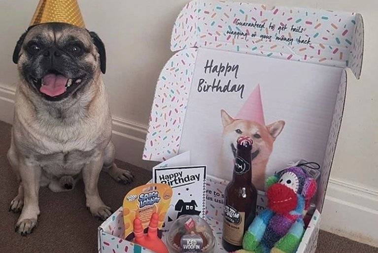 dog birthday present