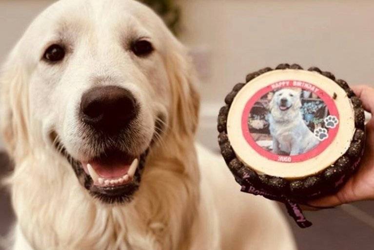 personalised dog birthday cakes