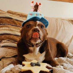 Dogg Birthday Cake