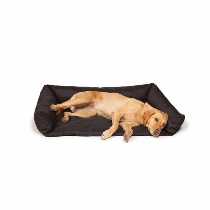 dog boot bed