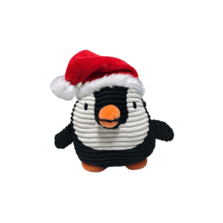 Squeaky Small Penguin