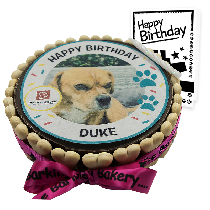 Dog Birthday Cakes