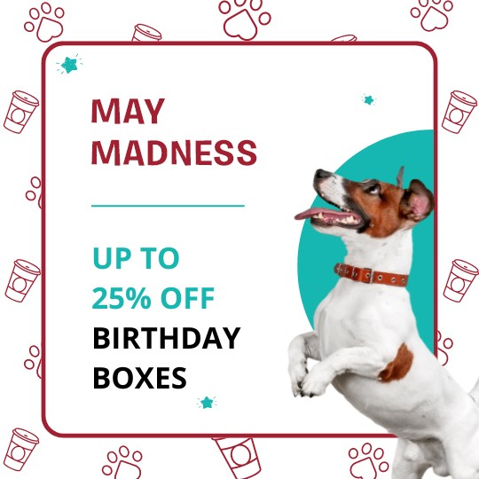 Dog Birthdays